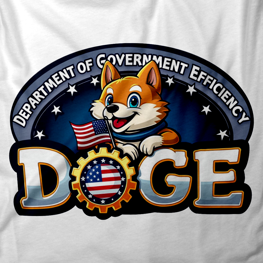 Department of Governmental Efficiency